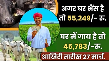 Animal Husbandry Apply 2024