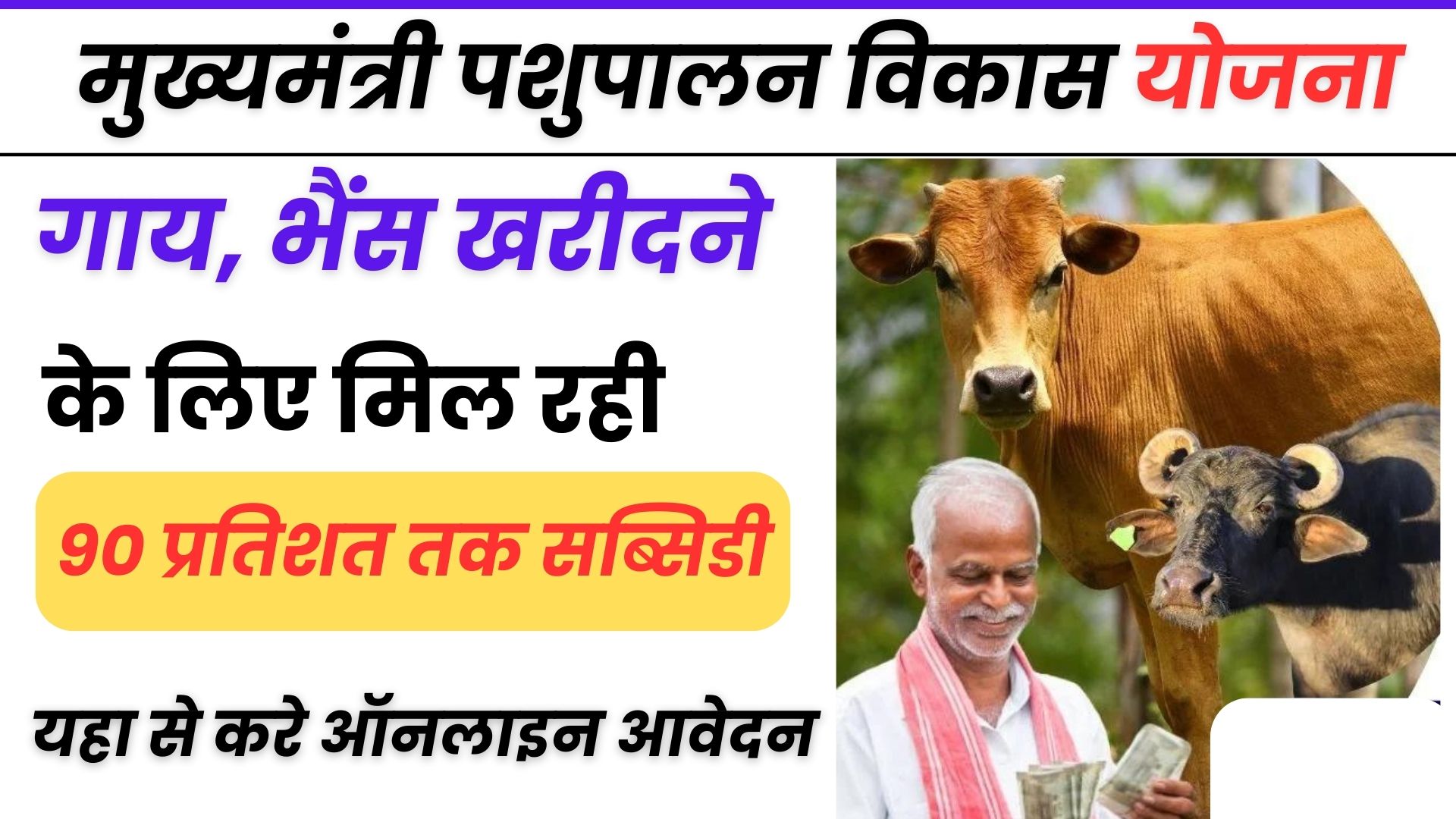 Chief Minister's Animal Husbandry Development Scheme 2024