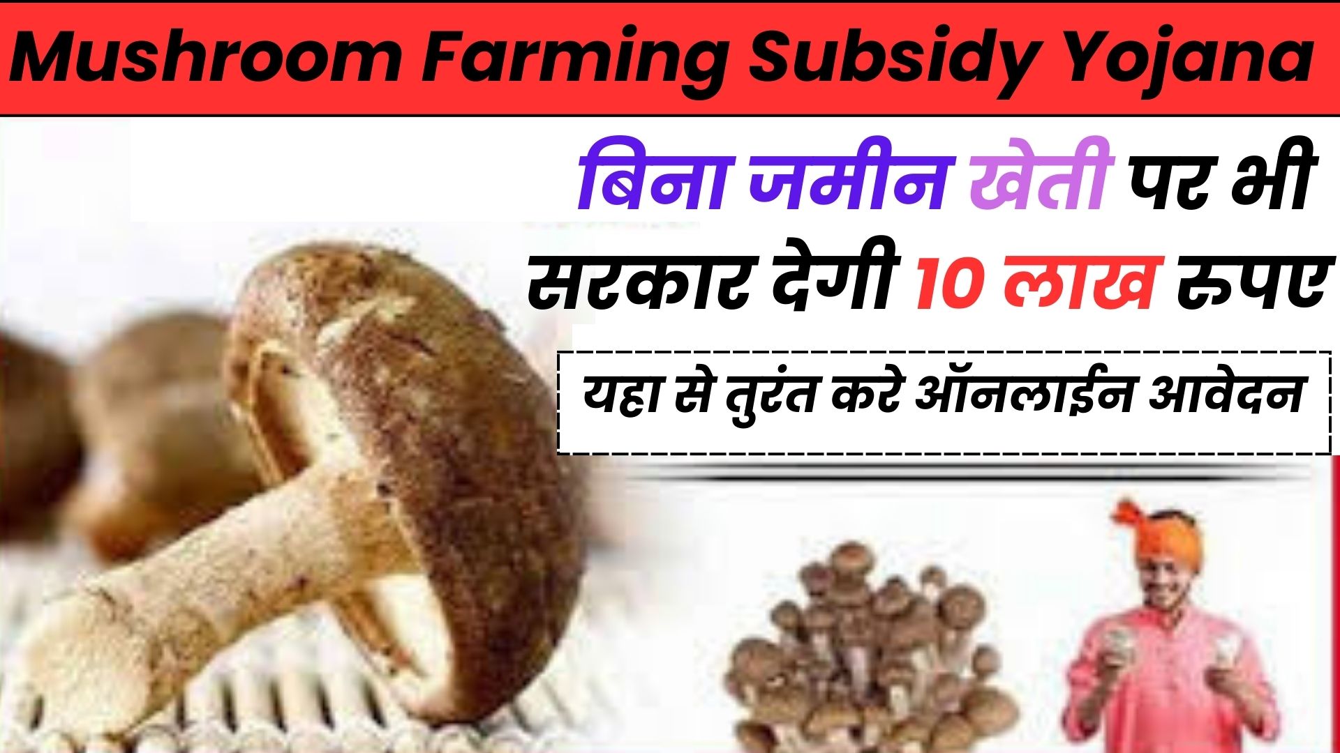 Mushroom Farming Subsidy Yojana