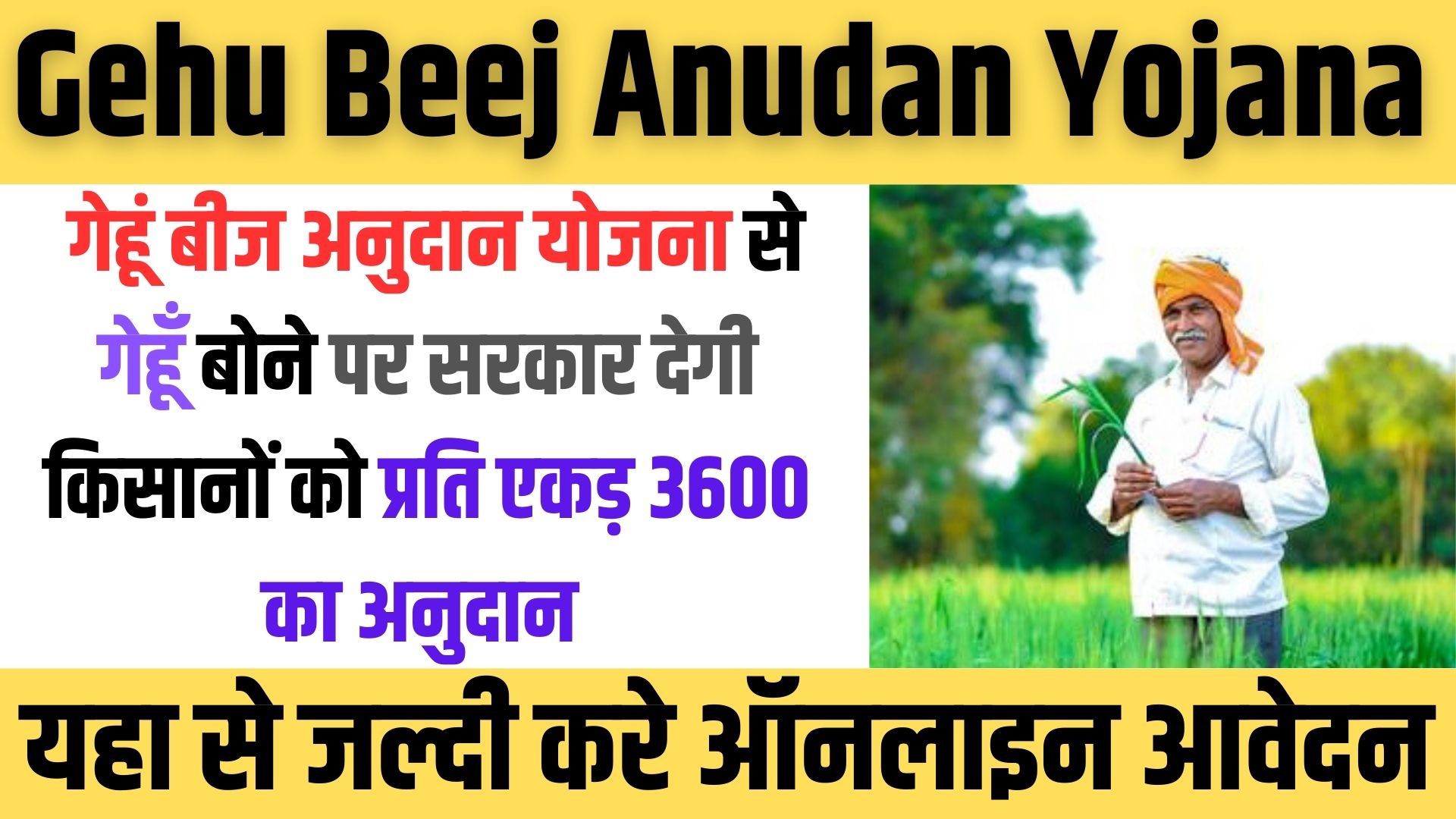 Gehu Beej Anudan Yojana