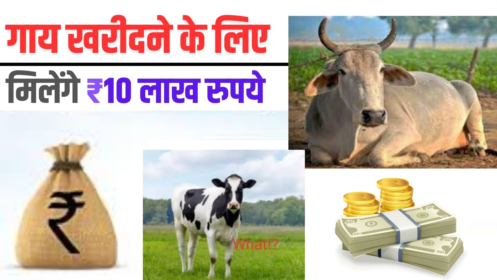 Gau Palan Yojana